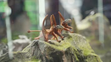 潮流时尚的盲盒文化