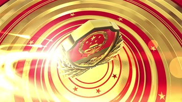 武警部队党政退伍军人AE模板