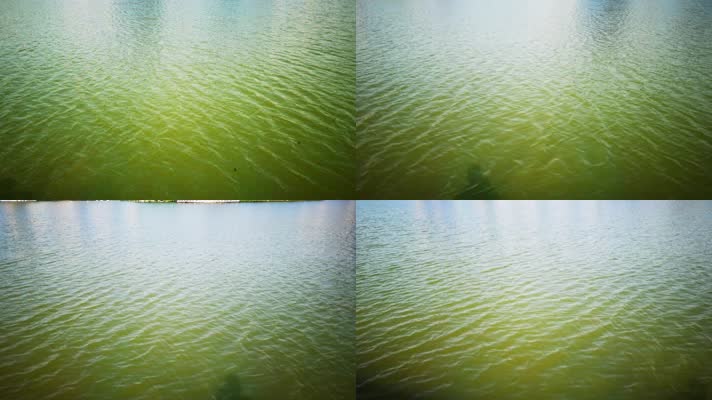 金色水面湖面波光粼粼江面湖水河流黄昏波光