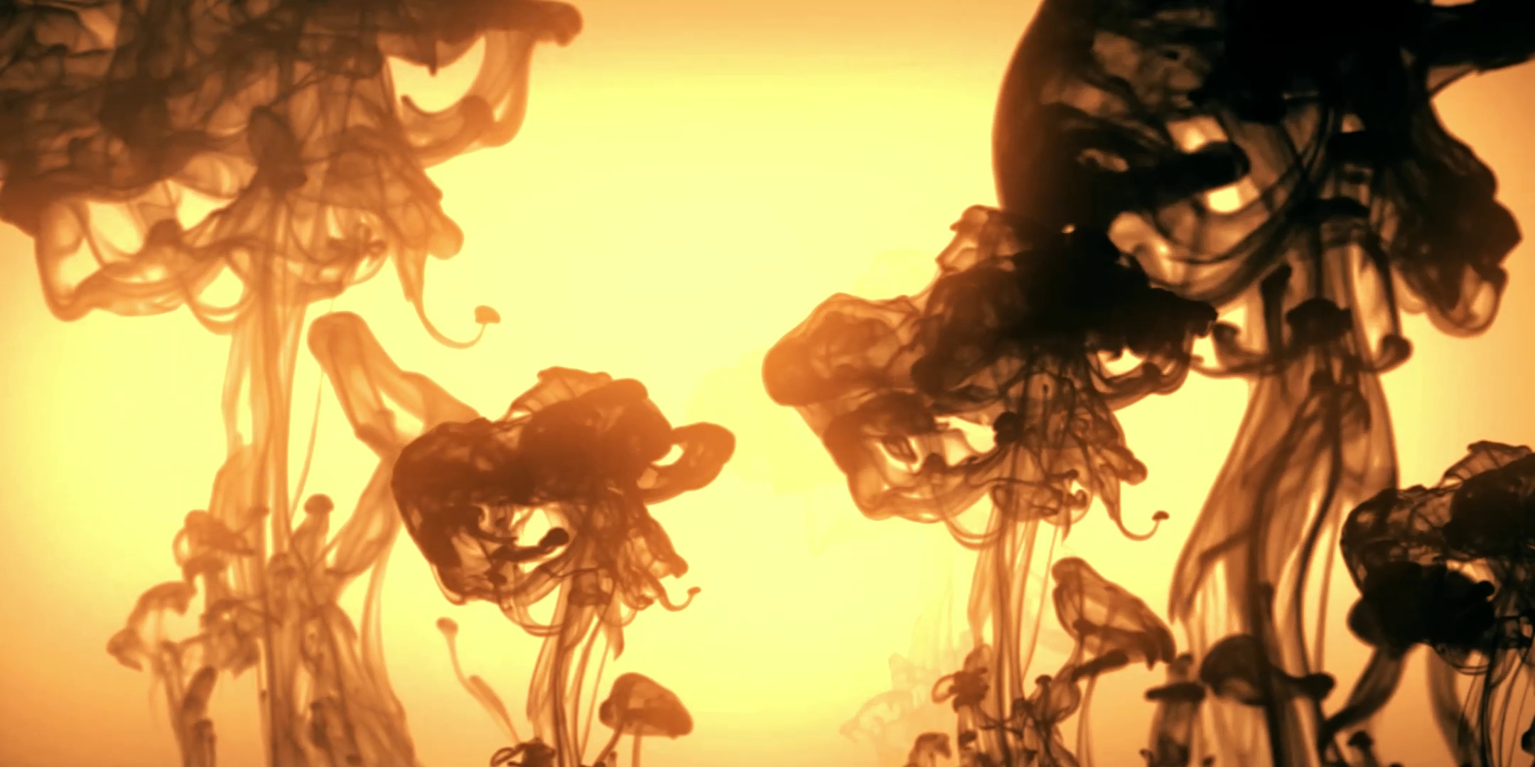 LED高清太极拳武术表演比赛背景视频