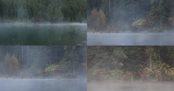 清晨森林湖面雾气升腾合集