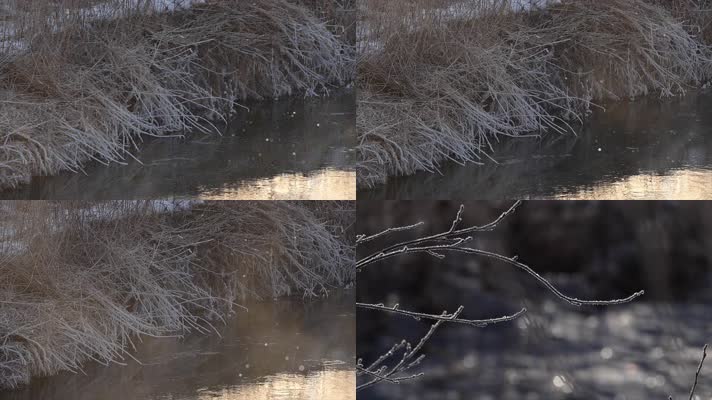 冬季河边水雾植物结霜
