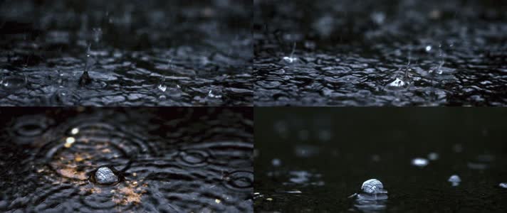 雨水滴落唯美慢镜头