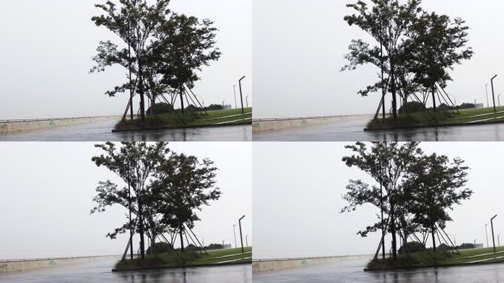 杭州钱塘江江边下暴雨