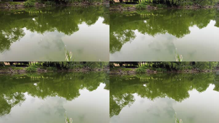 湖水的水面的倒影