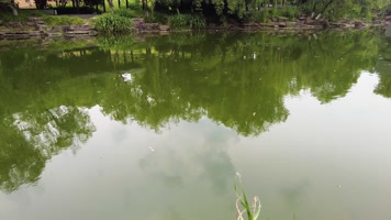 湖水的水面的倒影