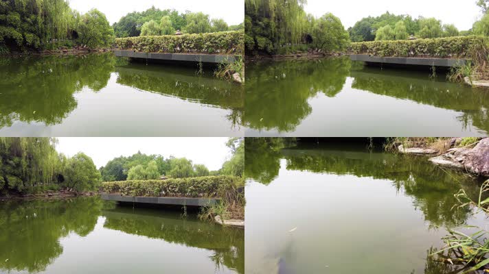 湖水倒影和水面的水草