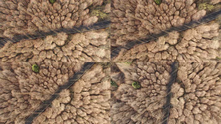 重庆南川山王坪景区航拍