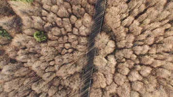 重庆南川山王坪景区航拍