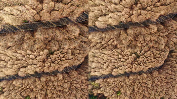 重庆南川山王坪景区航拍