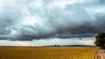 秋天、秋季、秋意、黄叶、落叶