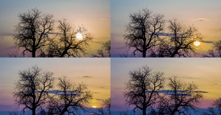 内蒙古怪树林景区日出日落