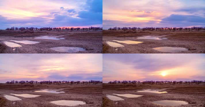 内蒙古怪树林景区日出日落