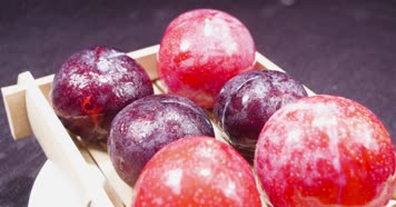 李子黑布林实拍【侵权必究】