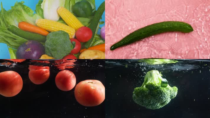 各种水中蔬菜
