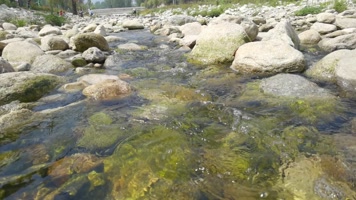水河流溪流泉水溪水河流白酒大河水水源河流