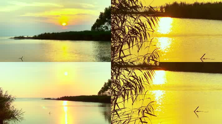 清晨 阳光 日出 太阳升起  日落