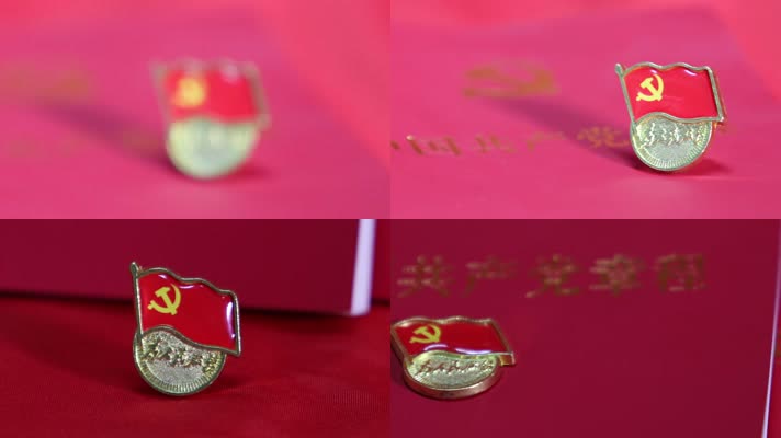 实拍党章国旗为人民服务