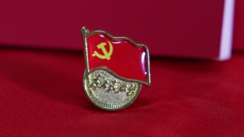 实拍党章国旗为人民服务