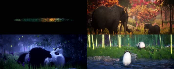 大自然竹林深处美景