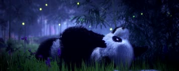 大自然竹林深处美景