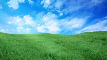 草原蓝天光线