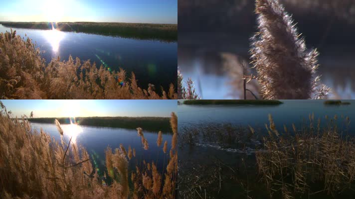 乌梁素海的冬季