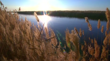 乌梁素海的冬季