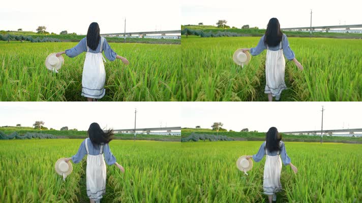 4K稻田里奔跑的少女