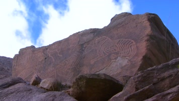 阴山岩画 虎群图 延时