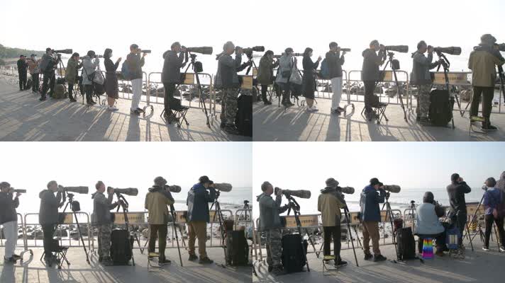 4K清晨深圳湾拍摄候鸟的中老年人