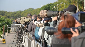 4K清晨深圳湾拍摄候鸟的中老年人