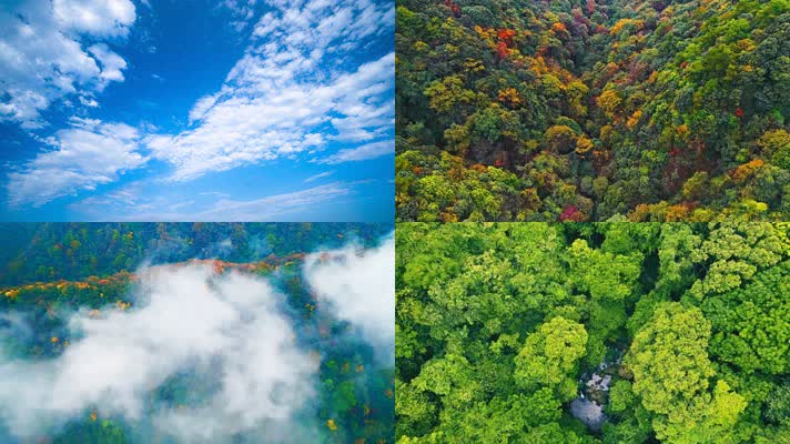 4K内蒙古扎赉特旗风光