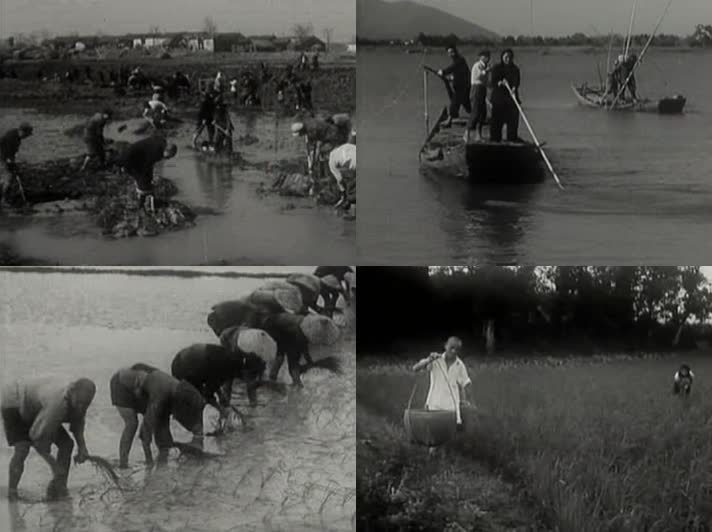 50年代的农村劳动场景影像