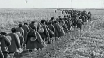 垦荒50年代 新疆 垦荒50年代 新疆