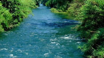 清澈的河流
