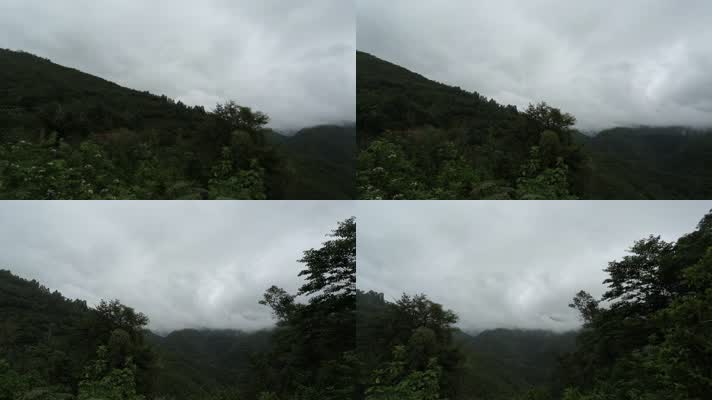 深山雨林夏季雨季云雾缭绕