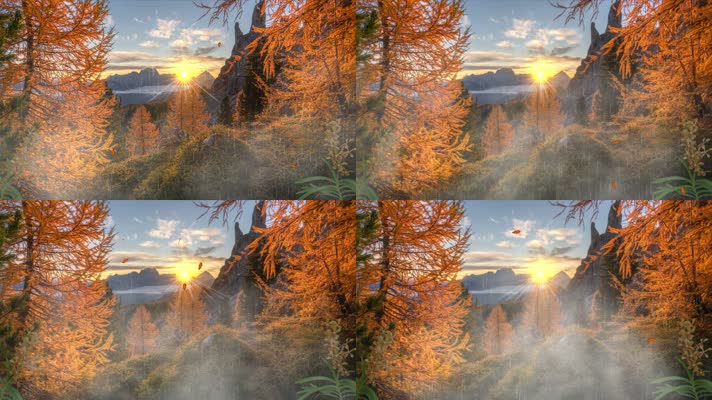 秋天枫树林素材