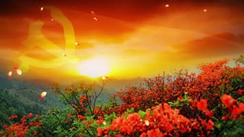 k0187 唱支山歌给党听 包含伴奏视频