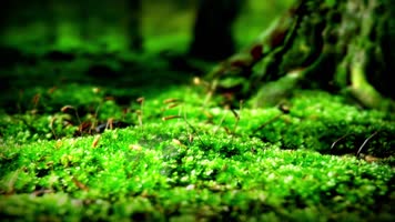 k206 在山的那边  包含无人声伴奏视频