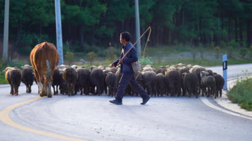 云贵高原山区农村牧羊人 云贵高原山区农村牧羊人