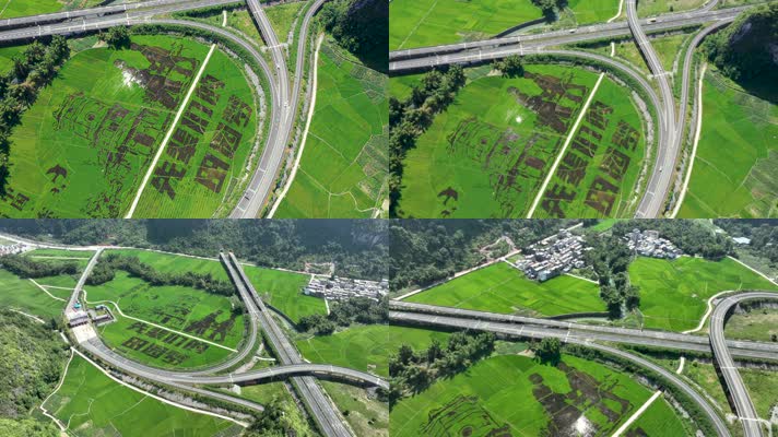 超高清航拍巴马艺术稻田自然风光