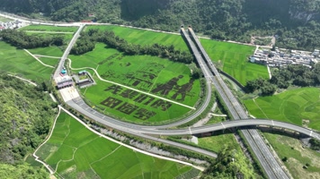 超高清航拍巴马艺术稻田自然风光