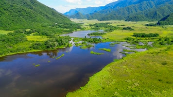 神农架大九湖自然风光航拍4K视频素材