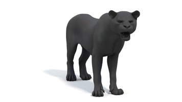 【4K】老虎奔跑