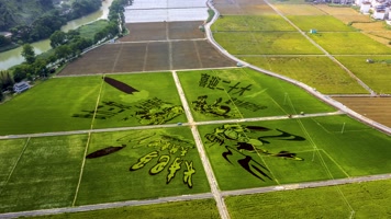 4K延时航拍河池巴马田园风光