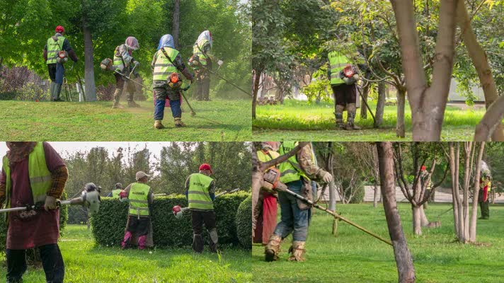 园林工人修剪树木草坪