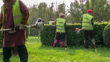园林工人修剪树木草坪