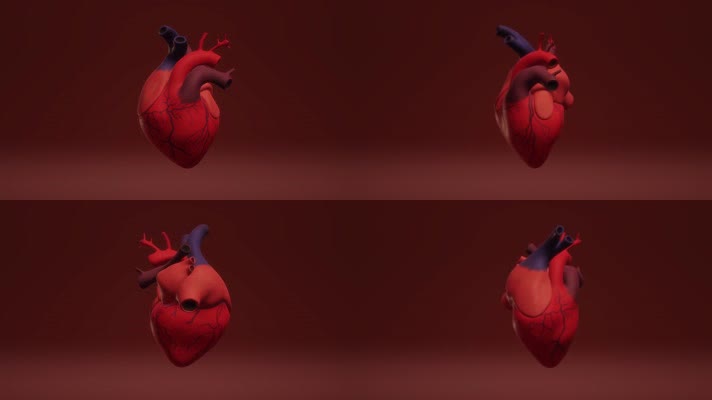心脏 心脏