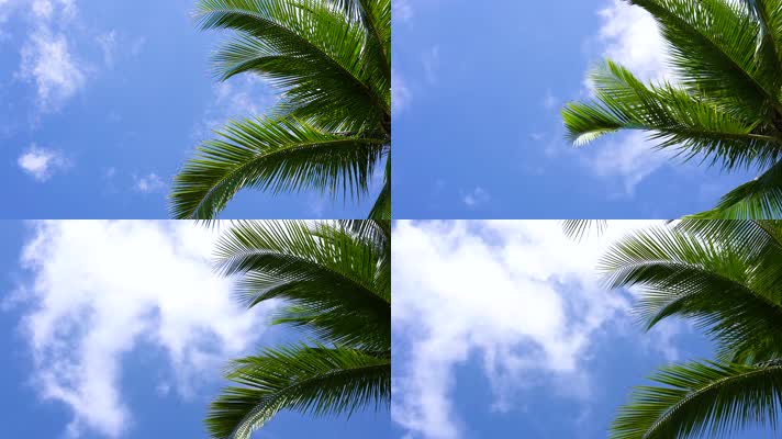 海南岛唯美自然风光